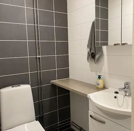 شقة Modern With Sauna, Balcony And Parking A17 توركو